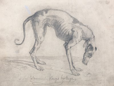 Ein ausgehungerter Windhund von John Sell Cotman